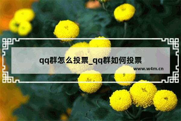 qq群怎么投票_qq群如何投票