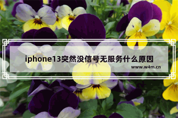 iphone13突然没信号无服务什么原因_怎么办