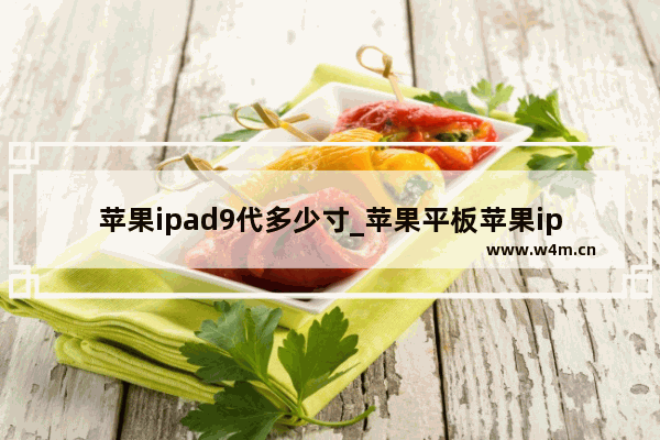 苹果ipad9代多少寸_苹果平板苹果ipad9代多少寸