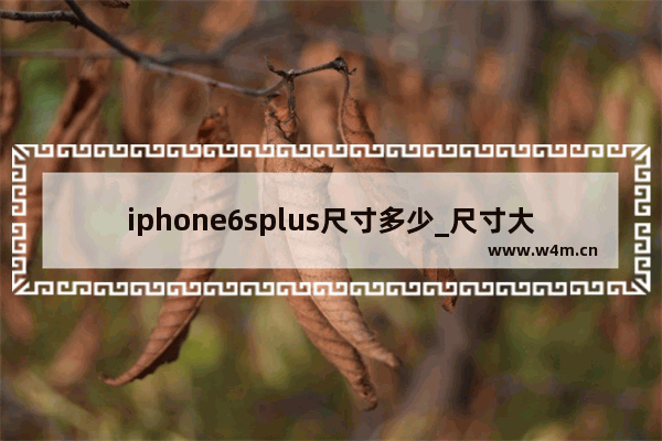 iphone6splus尺寸多少_尺寸大小