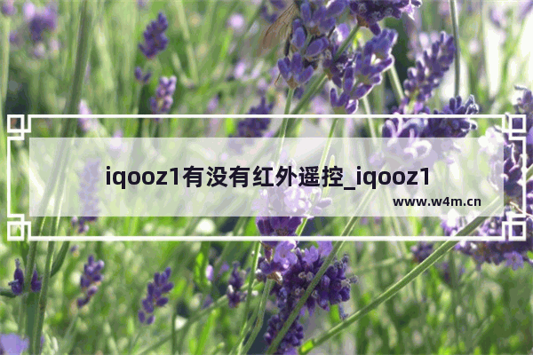 iqooz1有没有红外遥控_iqooz1支持红外线遥控吗