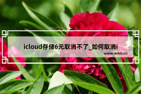 icloud存储6元取消不了_如何取消icloud空间6元