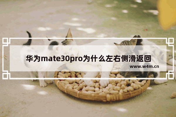 华为mate30pro为什么左右侧滑返回无振动_为什么华为mate30pro左右侧滑返回无振动呢