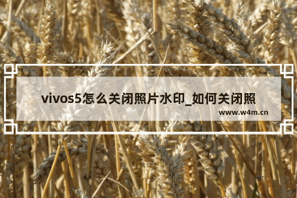 vivos5怎么关闭照片水印_如何关闭照片水印