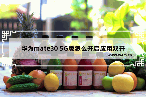 华为mate30 5G版怎么开启应用双开_怎么设置应用分身