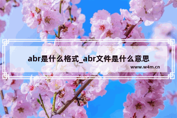 abr是什么格式_abr文件是什么意思