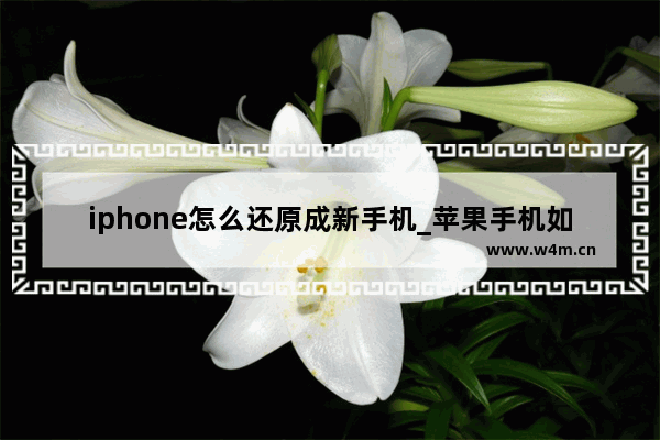 iphone怎么还原成新手机_苹果手机如何还原成新手机