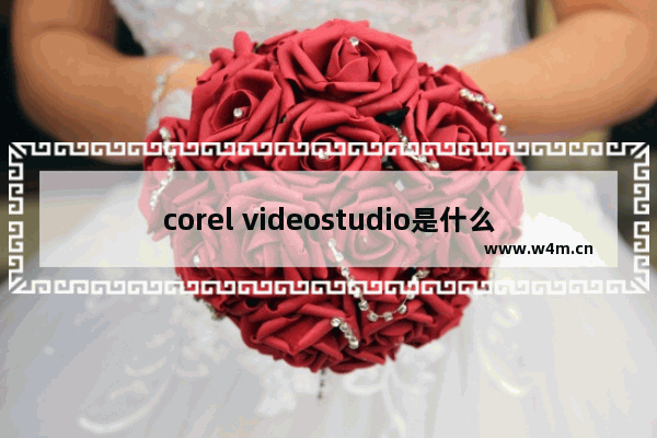 corel videostudio是什么软件_corel videostudio软件是干什么的