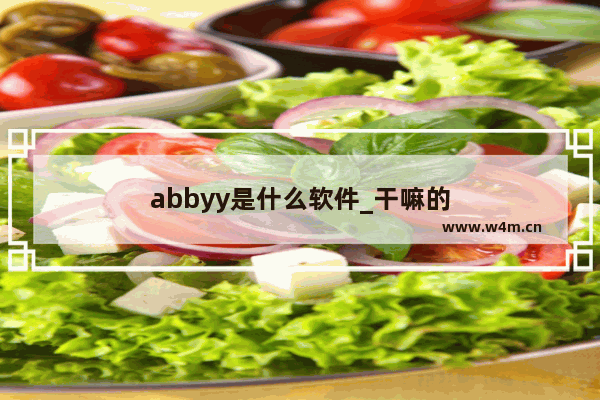 abbyy是什么软件_干嘛的