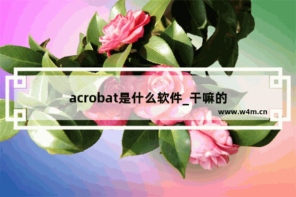 acrobat是什么软件_干嘛的