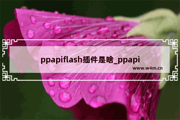 ppapiflash插件是啥_ppapi插件是什么