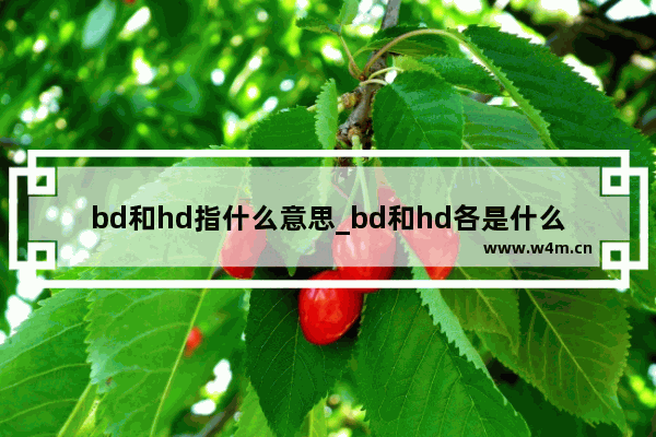 bd和hd指什么意思_bd和hd各是什么意思