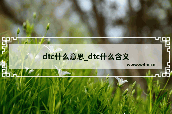 dtc什么意思_dtc什么含义