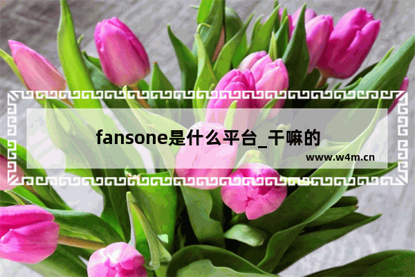 fansone是什么平台_干嘛的