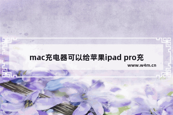 mac充电器可以给苹果ipad pro充电吗_mac充电器可以给苹果ipad充电吗