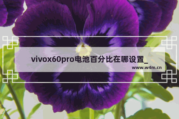 vivox60pro电池百分比在哪设置_怎么设置