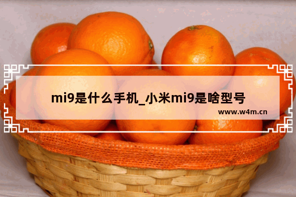 mi9是什么手机_小米mi9是啥型号