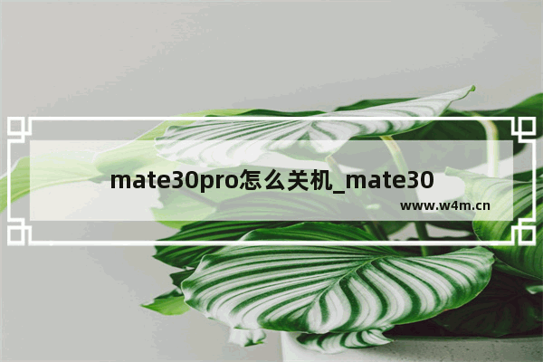 mate30pro怎么关机_mate30pro关机怎么关