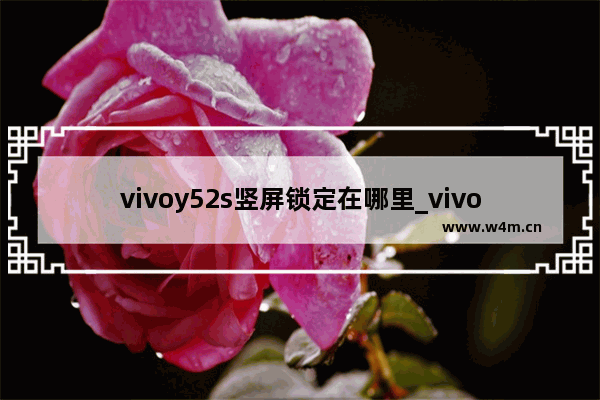 vivoy52s竖屏锁定在哪里_vivoy52s竖屏怎么锁定