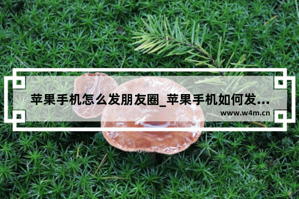 苹果手机怎么发朋友圈_苹果手机如何发朋友圈