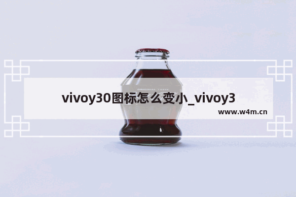 vivoy30图标怎么变小_vivoy30图标如何设置