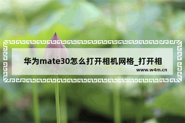 华为mate30怎么打开相机网格_打开相机网格教程