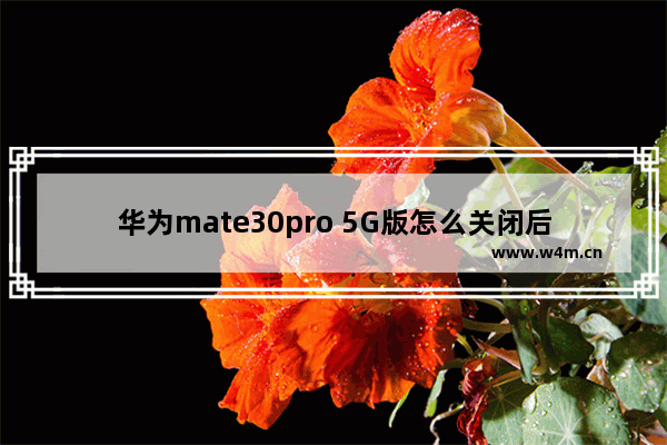 华为mate30pro 5G版怎么关闭后台应用_如何关闭后台应用