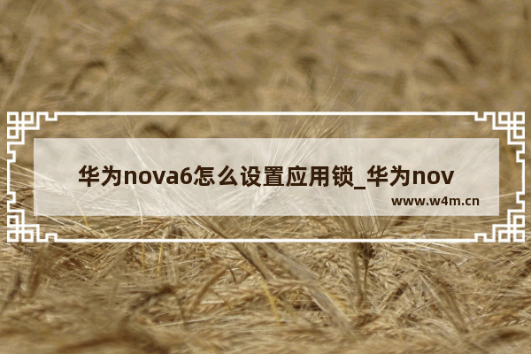 华为nova6怎么设置应用锁_华为nova6应用锁在哪里设置