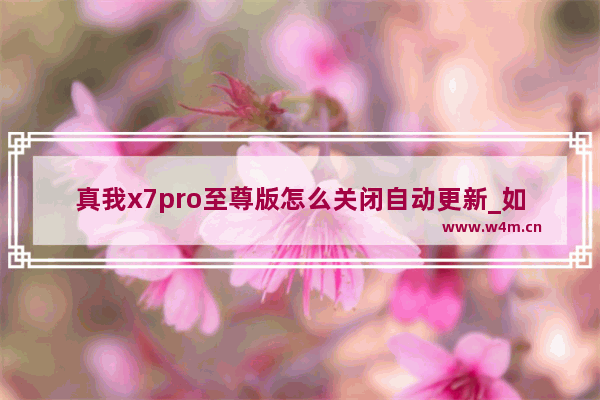 真我x7pro至尊版怎么关闭自动更新_如何关闭自动更新