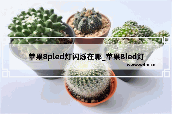 苹果8pled灯闪烁在哪_苹果8led灯闪烁怎么开