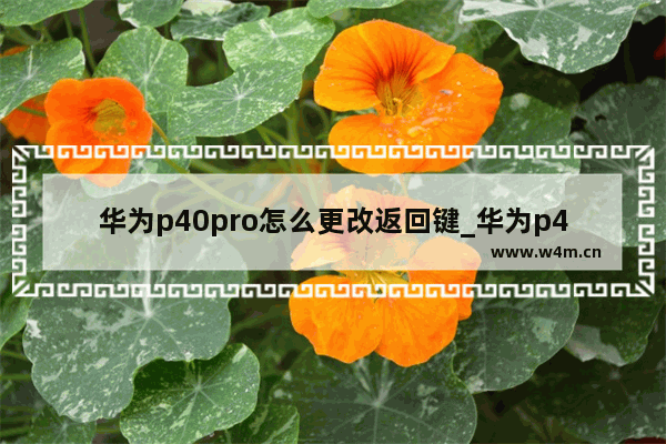 华为p40pro怎么更改返回键_华为p40pro怎么设置返回键