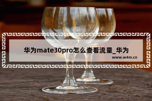 华为mate30pro怎么查看流量_华为mate30pro怎么看用了多少流量