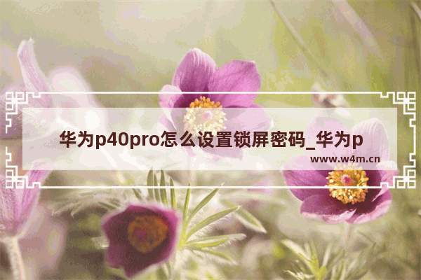 华为p40pro怎么设置锁屏密码_华为p40如何设置密码锁屏