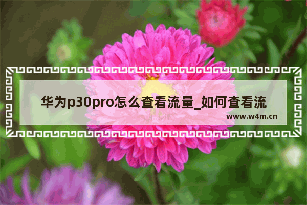 华为p30pro怎么查看流量_如何查看流量