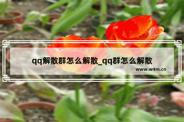 qq解散群怎么解散_qq群怎么解散