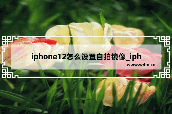 iphone12怎么设置自拍镜像_iphone12如何设置自拍镜像