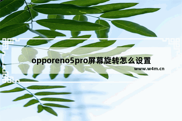 opporeno5pro屏幕旋转怎么设置_如何设置