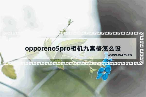 opporeno5pro相机九宫格怎么设置_如何设置