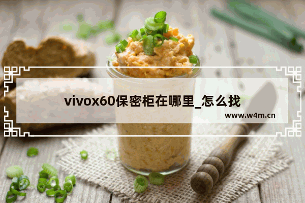 vivox60保密柜在哪里_怎么找