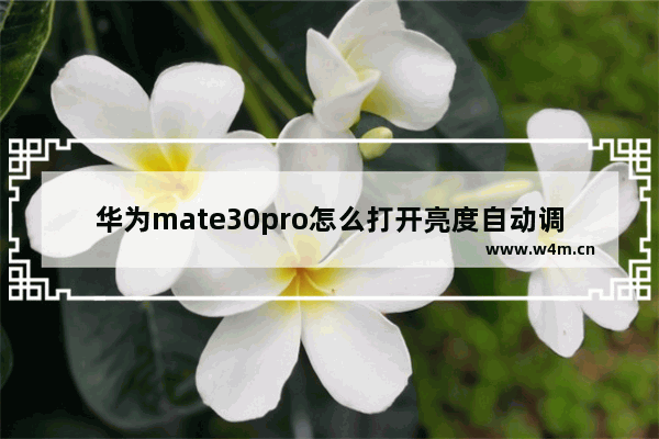 华为mate30pro怎么打开亮度自动调节_华为mate30pro如何打开亮度自动调节