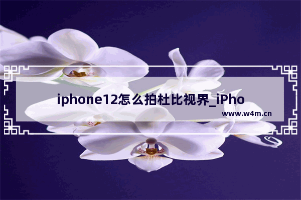 iphone12怎么拍杜比视界_iPhone12杜比视界怎么开