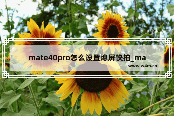 mate40pro怎么设置熄屏快拍_mate40pro熄屏快拍如何设置