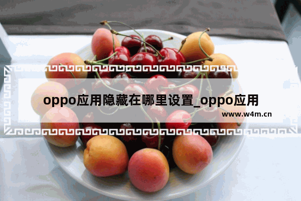 oppo应用隐藏在哪里设置_oppo应用隐藏怎么弄