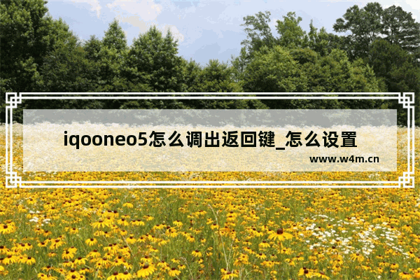 iqooneo5怎么调出返回键_怎么设置返回键