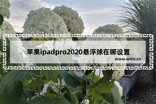 苹果ipadpro2020悬浮球在哪设置_苹果ipad pro2020怎么调出悬浮球