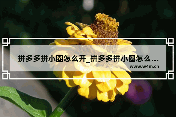 拼多多拼小圈怎么开_拼多多拼小圈怎么开启