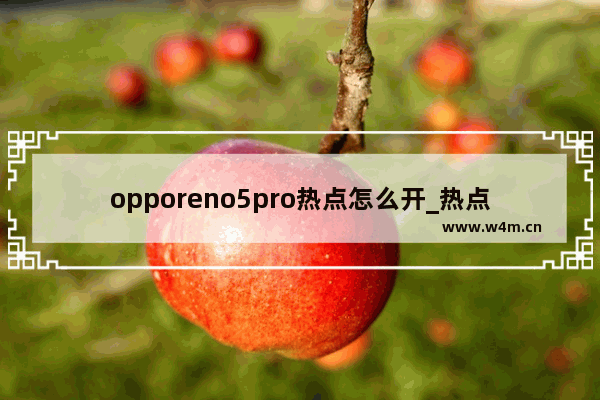 opporeno5pro热点怎么开_热点在哪里