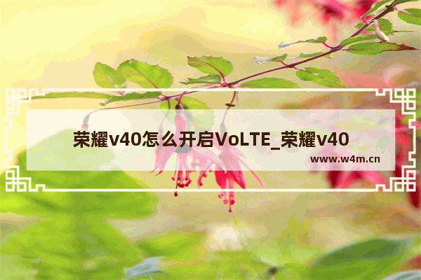 荣耀v40怎么开启VoLTE_荣耀v40手机volte设置在哪里