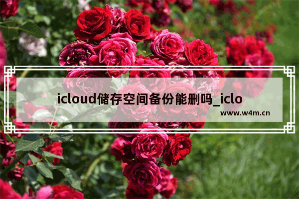 icloud储存空间备份能删吗_icloud备份怎么删除