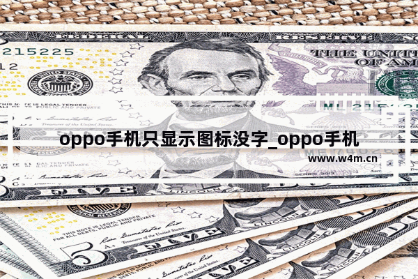 oppo手机只显示图标没字_oppo手机只显示图标没字怎么办